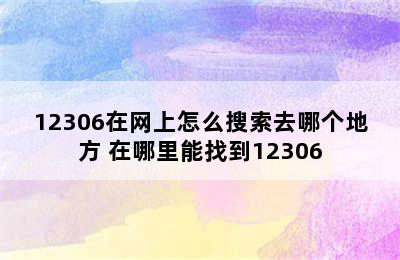 12306在网上怎么搜索去哪个地方 在哪里能找到12306